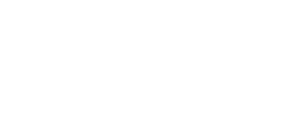 Sforce Summit Online Winter Edition